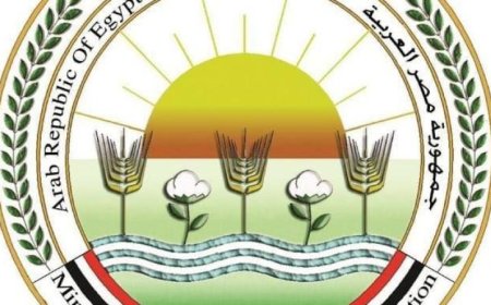 وزارة الزراعة تمنح 987 ترخيص تشغيل لمشروعات الإنتاج الحيواني والداجني في مارس