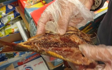 الزراعة تكشف عن ضبط 71 طن من الأسماك المملحة الفاسدة قبل احتفالات شم النسيم