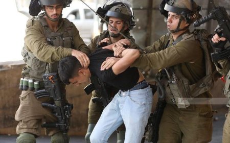 قوات الاحتلال تواصل اعتقال 28 فلسطينيا في مختلف مدن ومحافظات الضفة الغربية