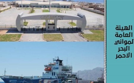 تداول 32 ألف طن من البضائع العامة والمتنوعة في موانئ البحر الأحمر