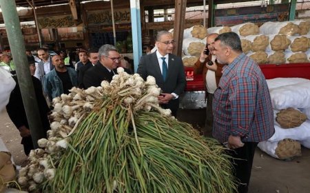 محافظ الجيزة يزور سوق الجملة للخضراوات والفاكهة في مدينة السادس من أكتوبر لتعزيز الأمن الغذائي
