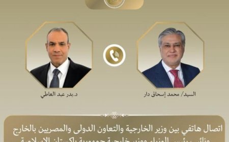 وزير خارجية مصر ووزير خارجية باكستان يتباحثان حول تطورات الوضع الإقليمي الراهنة