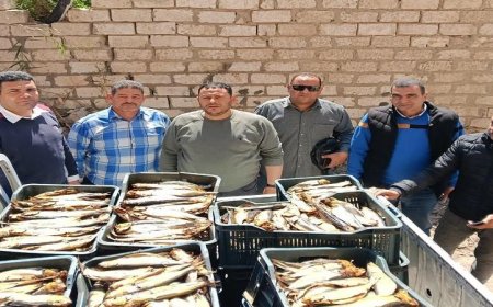 حملات رقابة مكثفة من بيطري البحيرة لضمان سلامة الأسواق ومحلات بيع الأسماك