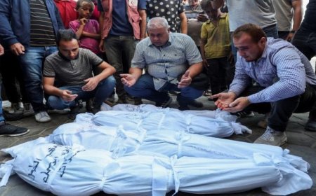 ارتفاع عدد الشهداء جراء عدوان الاحتلال في قطاع غزة إلى 72333 شهيدا