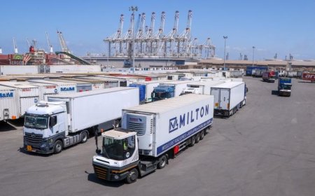 زيادة تدفق شحنات الترانزيت عبر خط الرورو في ميناء دمياط