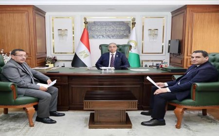 محافظ الجيزة يراقب جاهزية موسم حصاد القمح المحلي وتوريده