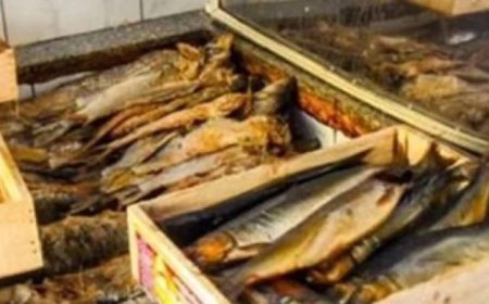 إحباط تهريب 14 طن من الأسماك المدخنة والمملحة المجهولة المصدر في القاهرة والدقهلية والغربية