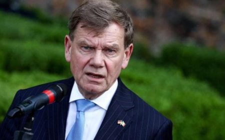 وزير الخارجية الألماني يشدد على أهمية الحفاظ على حرية الحركة في مضيق هرمز