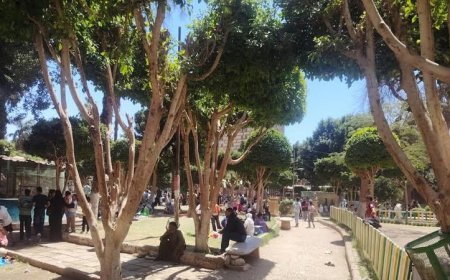 محافظ أسيوط يشيد بالإقبال الكبير على الحدائق والرحلات النيلية في احتفالات شم النسيم