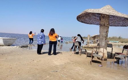 محافظ الفيوم يرصد استعدادات الأجهزة التنفيذية للاحتفال بشم النسيم