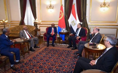 وزير الخارجية المصري يعبر عن الدعم القوي لسيادة إريتريا ووحدة أراضيها