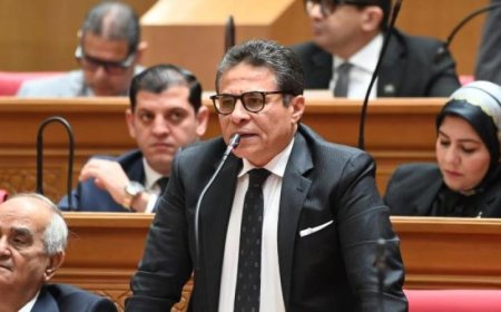 الخولي يؤكد أن توجيهات الرئيس حول قوانين الأسرة تعكس رغبة قوية في إجراء إصلاح تشريعي شامل