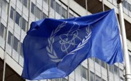 مبادرة عدم الانتشار ونزع السلاح تدعو إلى تعزيز الحوار الدولي من أجل السلام