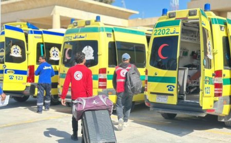 الهلال الأحمر يوزع 155 ألف سلة غذائية ومواد إغاثية لدعم أهالي قطاع غزة