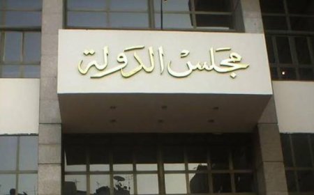 مجلس الدولة يعزز دور القضاء الإداري في تعزيز سيادة القانون ورفع مكانته