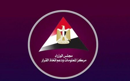 مركز المعلومات يكشف عن تقرير “فيتش” حول آفاق الاستثمار الأجنبي المباشر في مصر