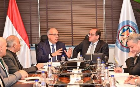 وزير المالية ووزير الري يستعرضان سبل تمويل مشروعات التحول إلى أنظمة الري الحديثة
