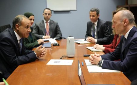 وزير الخارجية يناقش سبل تعزيز التعاون الثنائي مع وفد الوكالة الإيطالية للتعاون التنموي