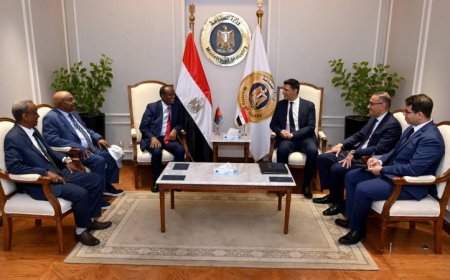 وزير الصناعة يعزز العلاقات الاستراتيجية القوية بين مصر وإريتريا