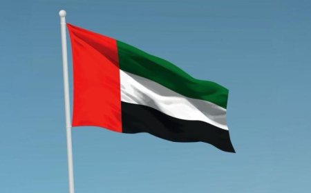الإمارات تبرز على الساحة العالمية بانتخابها عضوا في المجلس التنفيذي لبرنامج الأغذية العالمي