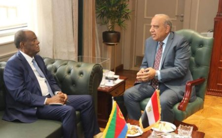 عصمت يعزز التعاون بين مصر وإريتريا في الطاقة المتجددة لدعم التنمية المستدامة