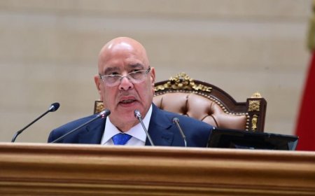 رئيس النواب يدعو لتحقيق العدالة المناخية وتعزيز التعاون الدولي من أجل مستقبل أفضل