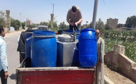 ضبط 2 طن من الألبان الفاسدة في المنيا وتحرير 12 مخالفة لمحلات تجارية