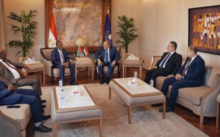 الغمراوي يستقبل وفد إريتري رفيع المستوى لتعزيز أطر التعاون المشترك