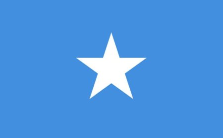 الجيش الصومالي يحقق انتصاراً كبيراً بمقتل 54 عنصراً من المليشيات في غارات جوية استهدفت 4 أقاليم