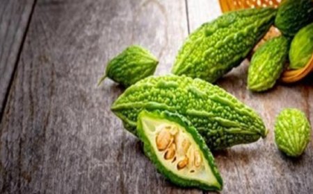 فوائد القرع المر في الوقاية من السكري والأورام الصحية