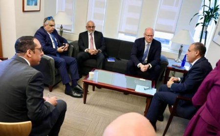 وزير الخارجية المصري ي reaffirm ثوابت الموقف المصري تجاه القضية الفلسطينية