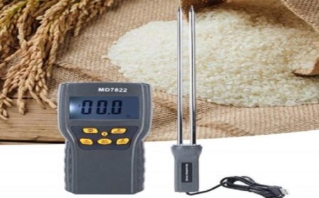 ابتكار مقياس فريد لقياس رطوبة المحاصيل بأعلى دقة وبسرعة فائقة