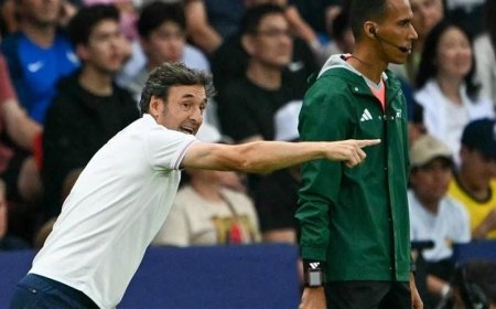 الأهلي المصري يقرر إقالة تورب وتعيين مدرب إسباني جديد