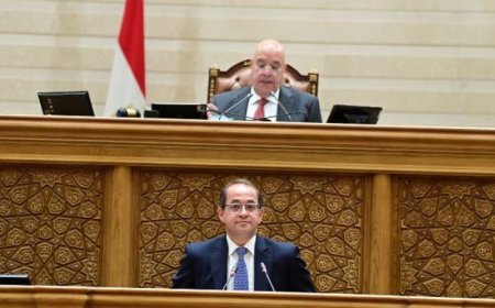 وزير المالية يكشف عن الموازنة الجديدة التي تلبي الاحتياجات الأساسية أمام النواب