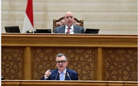 وزير التخطيط يكشف عن أبرز ملامح خطة التنمية الاقتصادية لعام 2026/2027 أمام مجلس النواب