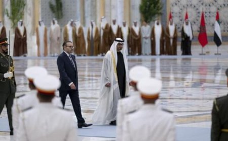 العاهل المغربي ورئيس الإمارات يتناولان تعزيز العلاقات الثنائية والقضايا الإقليمية الهامة