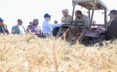 محافظ الغربية يبدأ موسم حصاد القمح في مركز زفتى بفعالية مميزة