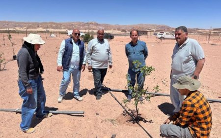 خبراء بحوث الصحراء يزورون تجمعات كاترين الزراعية لدعم المتضررين من الأزمات الزراعية