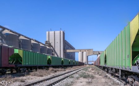 ميناء دمياط يستقبل 29 سفينة حاويات وبضائع عامة في حركة تجارية نشطة