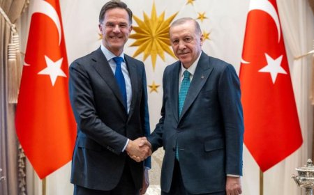 رئيس وزراء هولندا روته يتناول استعدادات قمة الناتو ويثني على الدور الحيوي لتركيا في الدفاع