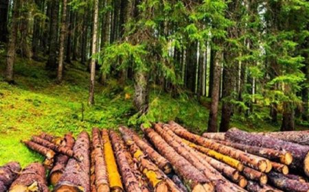 الأرض تتخلف عن تلبية احتياجات البشر من الموارد الطبيعية