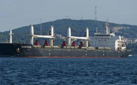 ميناء نويبع البحري يشهد تداول 5700 طن من البضائع و394 شاحنة في يوم واحد