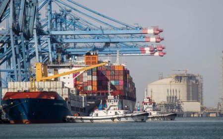 ميناء دمياط يستقبل 22 سفينة للحاويات والبضائع العامة في 24 ساعة