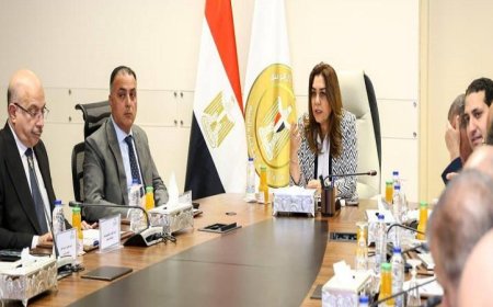 التنمية المحلية والبيئة تمنح تصاريح مؤقتة للمحال التجارية خلال أسبوع حتى استكمال الترخيص