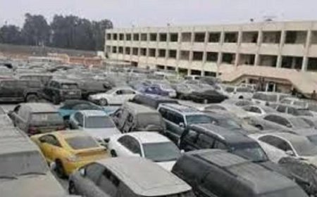 مزاد علني لبيع بضائع وسيارات جمارك القاهرة والسويس والسخنة فرصة للاستفادة من العروض المميزة