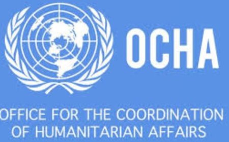 مسؤولة أممية تحذر من تدهور الوضع الإنساني في لبنان جراء العدوان الإسرائيلي