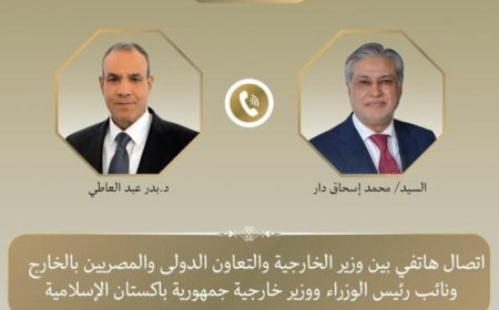 وزير الخارجية يتباحث مع نظيره الباكستاني حول تطورات المفاوضات الأمريكية الإيرانية