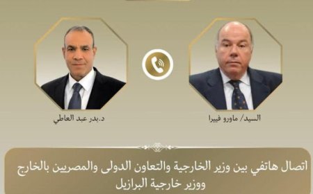 وزير الخارجية يعقد محادثات مع نظيره البرازيلي لتوسيع فرص تصدير المنتجات المصرية إلى البرازيل