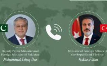 وزير خارجية باكستان ونظيره التركي يتباحثان سبل تعزيز التعاون في القضايا الإقليمية