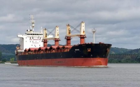 تسليم 43 ألف طن من البضائع العامة والمتنوعة في موانئ البحر الأحمر